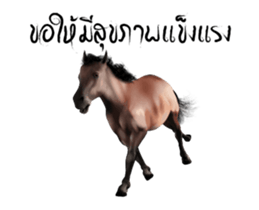 16512907