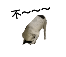 165160154
