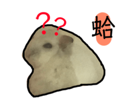 165176744