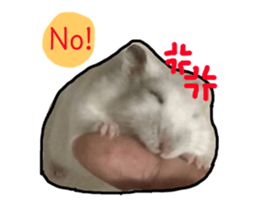 165176747