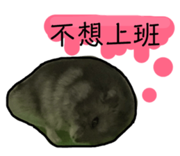 165176751