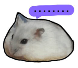 165176758