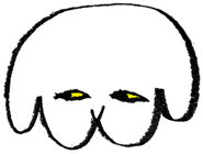 16519507