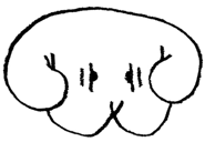16519512