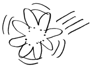 16519513
