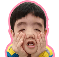 16526537