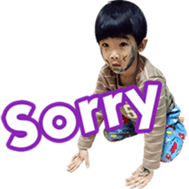 16526545