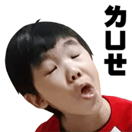 16526549