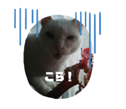 165292916