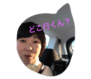 165306836