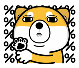 16531058