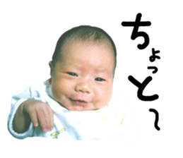 165313305