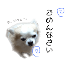 165322885