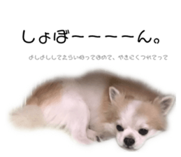165322889