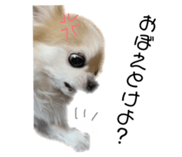 165322891