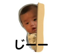 165323941