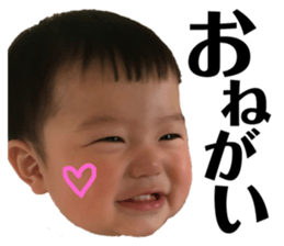 165377280