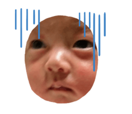 165381456