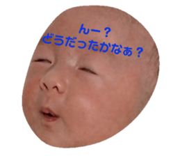 165381461