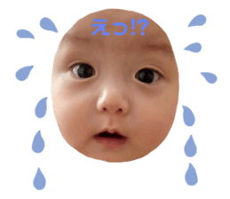165381463
