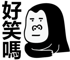 16539338