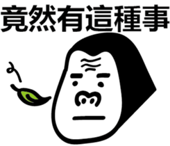 16539363