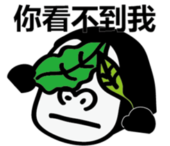 16539365