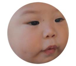 165398334