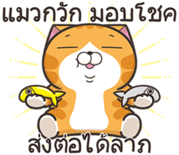 165417197