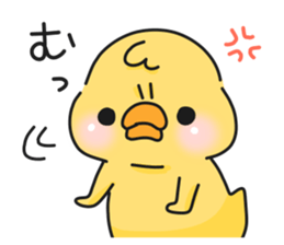 16543970