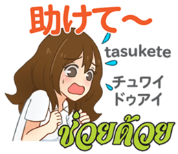 16544236