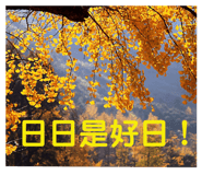 165466780
