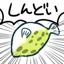 165509237