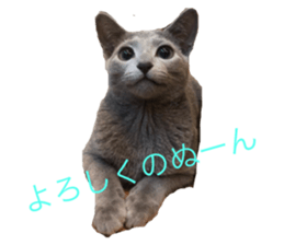 165525513