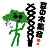 165531746