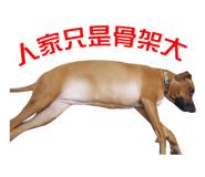 165532595