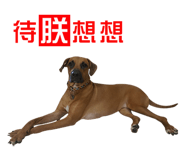 165532604