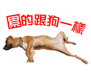 165532606