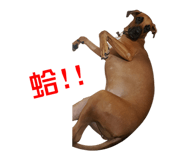165532607