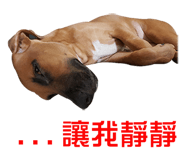 165532612