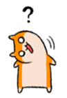 16555662