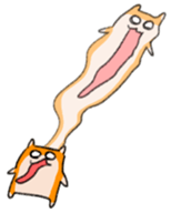 16555673