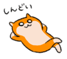 16555680