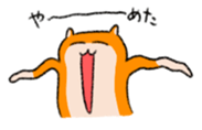 16555681