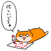 16555683