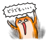 16555685