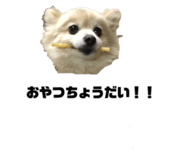 165642213