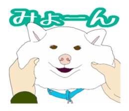 165656670