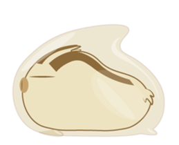 165775258