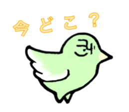 16586630